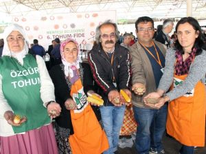 Menteşe’de ‘Yerel tohum-fide’ şenliği