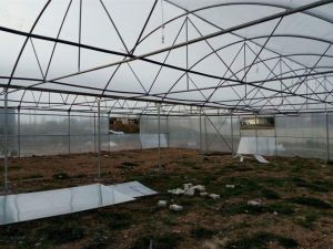 Çavdarhisar Tarım Meslek Lisesi bahçesine modern sera