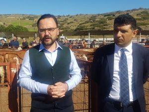 Hayvancılık desteklemeleri hesaplara yatıyor