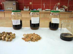 Üniversite öğrencileri meşe peliti ile beyaz etin raf ömrünü uzattılar