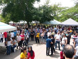 Aydın’a matematik akını