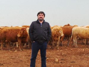 Hacıince: "Et fiyatında istikrar için ithalat yerine, yerli üretime destek zorunludur"