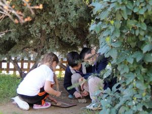 Okullarda çocuklar için toprak bahçe kullanımı artıyor