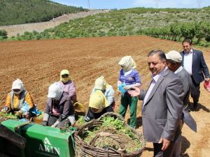 Baştuğ’dan Çiftçiler günü mesajı
