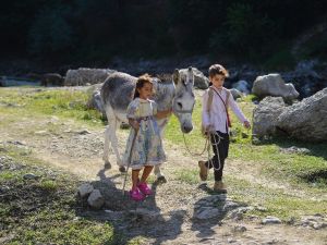 Bal Kaymak 18 Mayıs’ta vizyonda