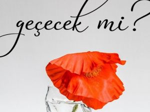 Bir psikoterapistin gözünden insanca hallerimiz