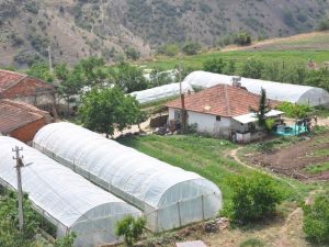 Büyükşehirin sağladığı sera desteği üreticiyi kalkındırıyor