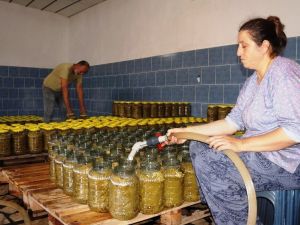 Sarıgöl’de toplanan yapraklar sofralara hazır