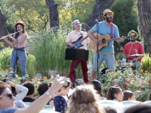 Marmaris’te ‘Akdeniz Keşiş Foku’ günleri