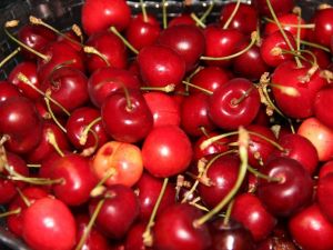 Kiraz her derde deva, karpuza dikkat