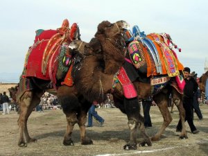 “AK Partili ve MHP’li üyeler Öz Kültürümüzü Bilmiyor…”