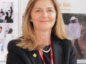 Klima ve havuzdan gelen hastalıklara propolis tavsiyesi