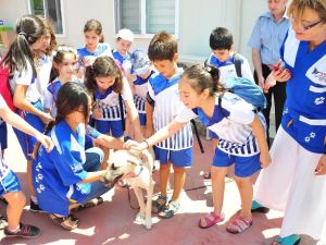 Balçovalı çocuklar bu okulu çok seviyor