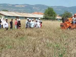 Gördes’de yerel buğday projesi kapsamında hasat yapıldı
