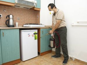 Böceklerden kurtulayım derken sağlığınızdan olmayın