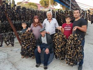 Yaşını satamayınca kuruttular, şimdi tüm dünyaya satıyorlar
