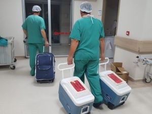 Organları 3 hastaya umut oldu