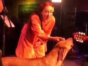 Leman Sam şarkı söylerken sokak köpeği sahneye fırladı