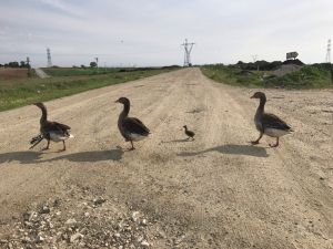 Beymen Club’ın düzenlediği fotoğraf yarışmasının kazananları belli oldu