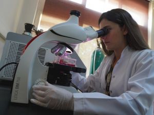 Egeli bilim insanları kolesterolü düşürmek için bir ilke imza attı