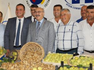 Aydın’da sezonun ilk kuru inciri borsaya teslim edildi