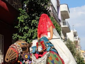 İnternet ile değil develer sayesinde tanışıp evlendiler