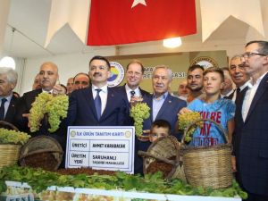 Bakan Pakdemirli, üzüm rekoltesini açıkladı