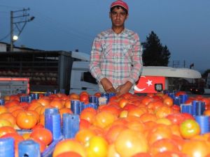 Domates üreticisinin yüzünü güldürdü