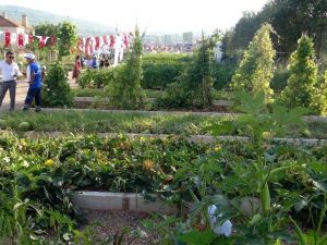 Yerel tohum merkezi açıldı