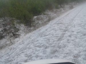 Başkan Yaralı dolunun vurduğu mahallelerde