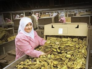 İhracatçı bayram molası vermedi
