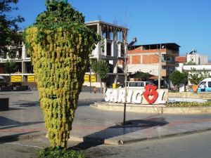Sarıgöl Geleneksel Sultani Üzüm Festivalinde ünlüler geçidi
