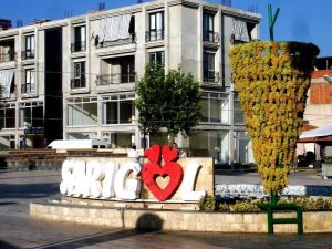 Festivalin simgesi için 1 ton üzüm kullanıldı