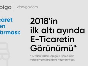 e-ticaret girişimlerinin yüzde 79’u, son bir yılda gelirlerini artırdı