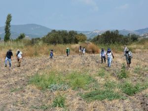 Aliağa’da dev kültür hamlesi