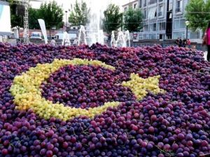 Sarıgöl’de üzümden bayrak yapıldı