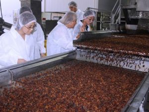 ABD’den vazgeçen Çinliler Türk üzümü için Alaşehir’de