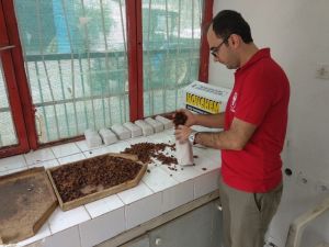 Kuru üzümde verim düşük olsa da fiyatlar çiftçinin yüzünü güldürüyor
