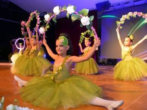 ASEV’de yeni dönem kurs kayıtları başlıyor