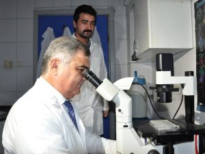 Profesörden ’çay üretiminde bor gübresi kullanılsın’ önerisi