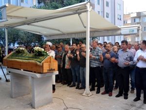 Ünlü senarist Deniz Yayın toprağa verildi