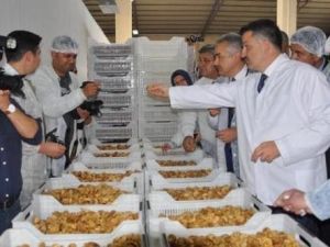 Aydın Ticaret Borsası, Bakan Pakdemirli’den incire destek istedi