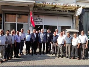 Aydın ziraat odaları, Bakan Pakdemirli’den incire sigorta istedi