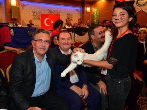 En güzel kedi Azra 10 bin TL ödül kazandı