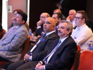 Bakan Yardımcısı Büyükdede: ’’Tarım, orman ve sanayi alanları için 3 bakanlık ortak çalışma yapıyor’’
