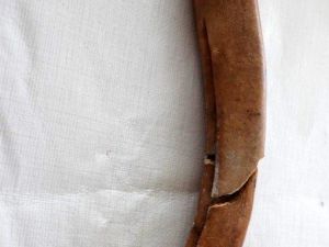 8 bin 750 yıllık kemikten yapılma tarım aleti bulundu