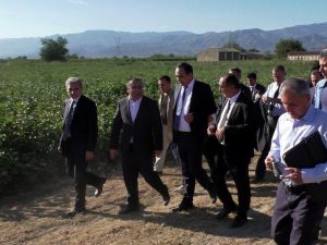 Türk-Özbek işbirliği pamuğa yarayacak