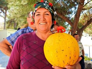Çeşme’nin en güzel kavunu seçildi