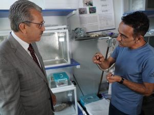 Yılan zehrinden ilaç yapımına ışık tutacak çalışmalar