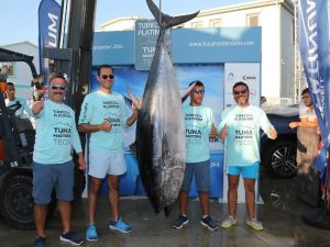 İzmir’de 190 kiloluk dev balık